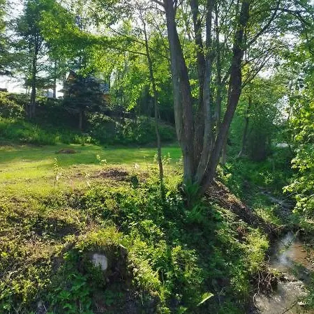 Za Potokiem * Grywald