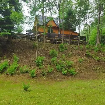 Za Potokiem Domek alpejski *
